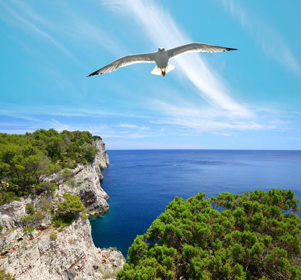 Pansion Alen - Dugi Otok Bed & Breakfast Luka  ภายนอก รูปภาพ