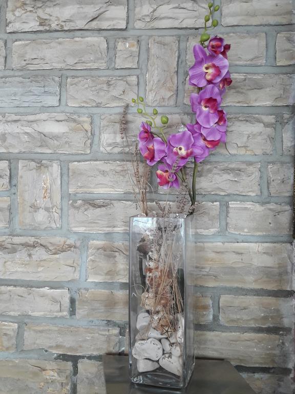 Pansion Alen - Dugi Otok Bed & Breakfast Luka  ภายนอก รูปภาพ